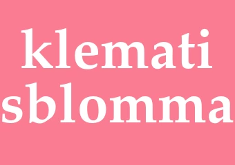 Synonym klematisblomma