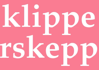 Synonym klipperskepp