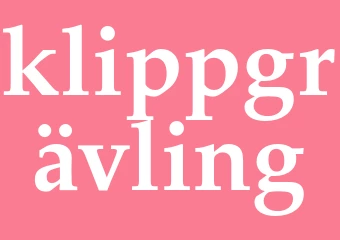 Synonym klippgrävling