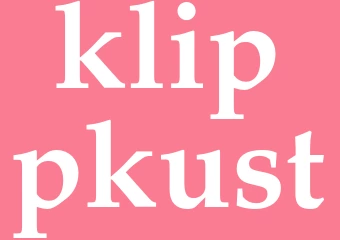 Synonym klippkust