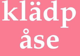 Synonym klädpåse