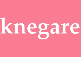 Synonym knegare