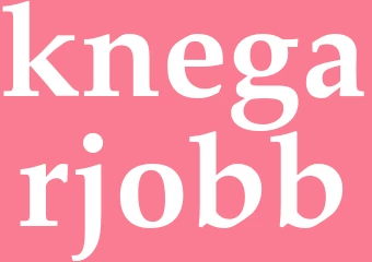 Synonym knegarjobb