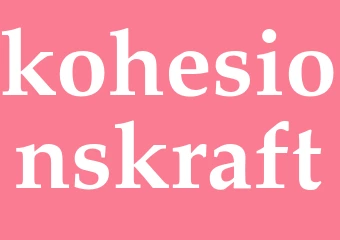 Synonym kohesionskraft