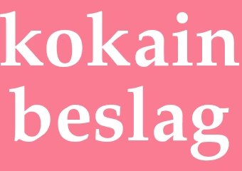 Synonym kokainbeslag