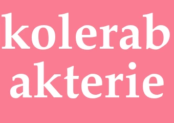 Synonym kolerabakterie