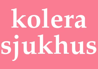 Synonym kolerasjukhus