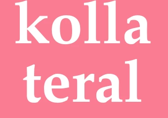 Synonym kollateral
