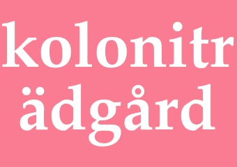 Synonym koloniträdgård