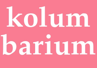 Synonym kolumbarium