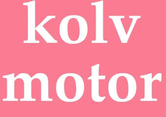Synonym kolvmotor