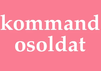 Synonym kommandosoldat