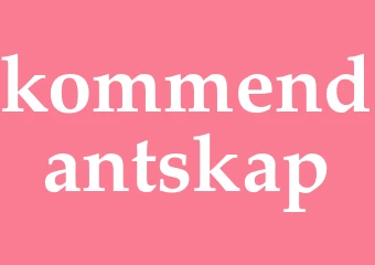 Synonym kommendantskap