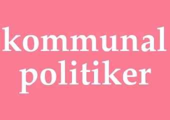 Synonym kommunalpolitiker