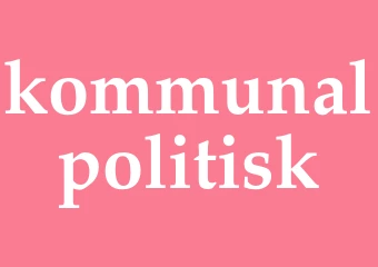 Synonym kommunalpolitisk