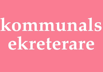 Synonym kommunalsekreterare