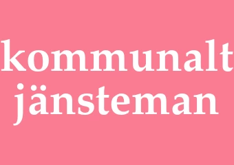 Synonym kommunaltjänsteman