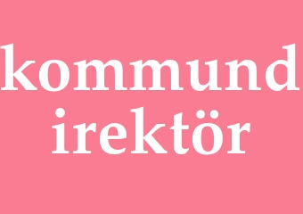 Synonym kommundirektör