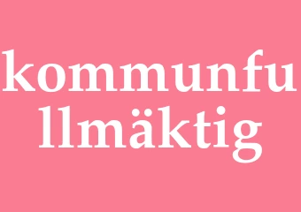 Synonym kommunfullmäktig