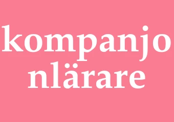 Synonym kompanjonlärare