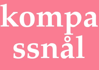 Synonym kompassnål