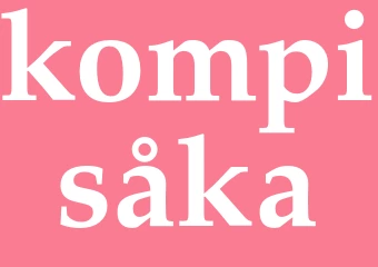 Synonym kompisåka