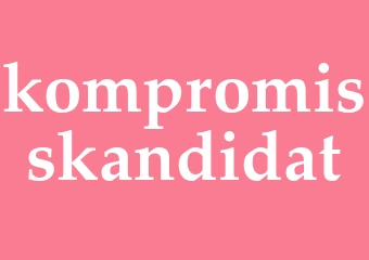 Synonym kompromisskandidat