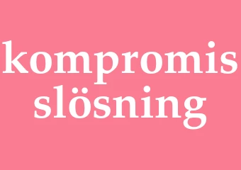 Synonym kompromisslösning