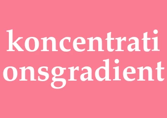 Synonym koncentrationsgradient