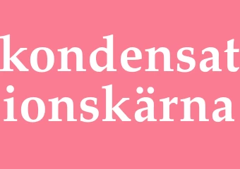 Synonym kondensationskärna