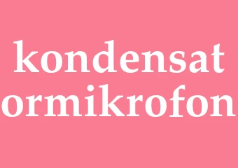 Synonym kondensatormikrofon