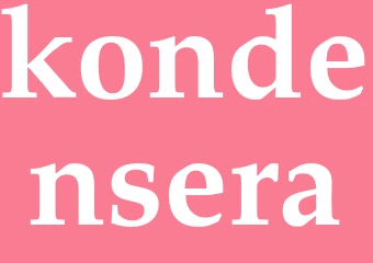 Synonym kondensera