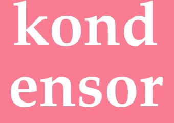 Synonym kondensor