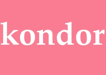 Synonym kondor
