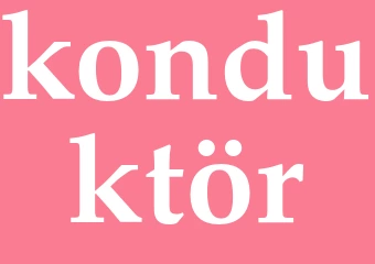 Synonym konduktör