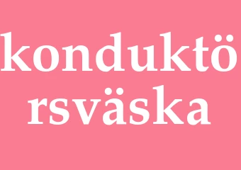 Synonym konduktörsväska