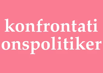 Synonym konfrontationspolitiker