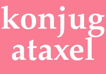 Synonym konjugataxel