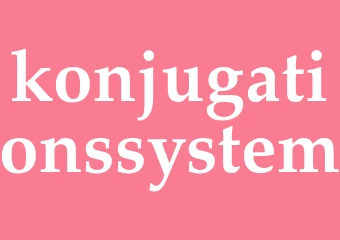 Synonym konjugationssystem