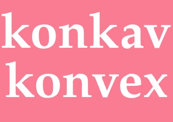 Synonym konkavkonvex