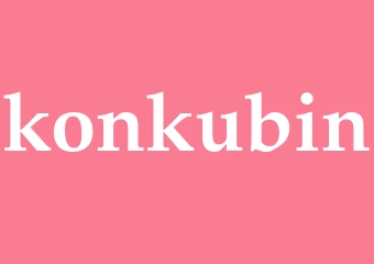 Synonym konkubin