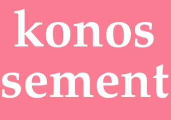 Synonym konossement