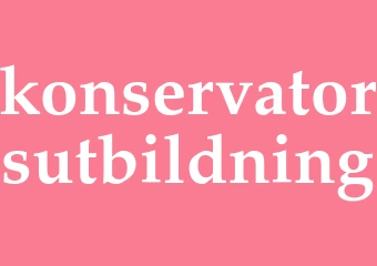 Synonym konservatorsutbildning