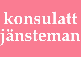 Synonym konsulattjänsteman