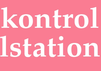 Synonym kontrollstation