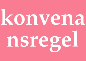 Synonym konvenansregel
