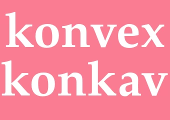 Synonym konvexkonkav