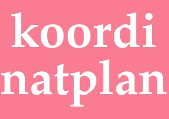 Synonym koordinatplan