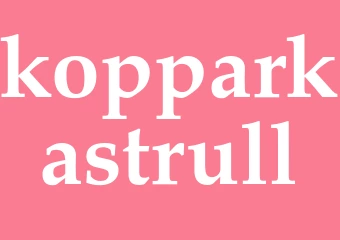Synonym kopparkastrull