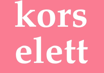 Synonym korselett